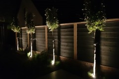 Kok_Hovenier_Amersfoort_Project-Elspeet-afbeelding-2