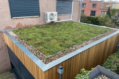 Kok_Hovenier_Amersfoort_Project-Sedumdak-afbeelding-2