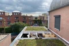 Kok_Hovenier_Amersfoort_Project-Sedumdak-afbeelding-4